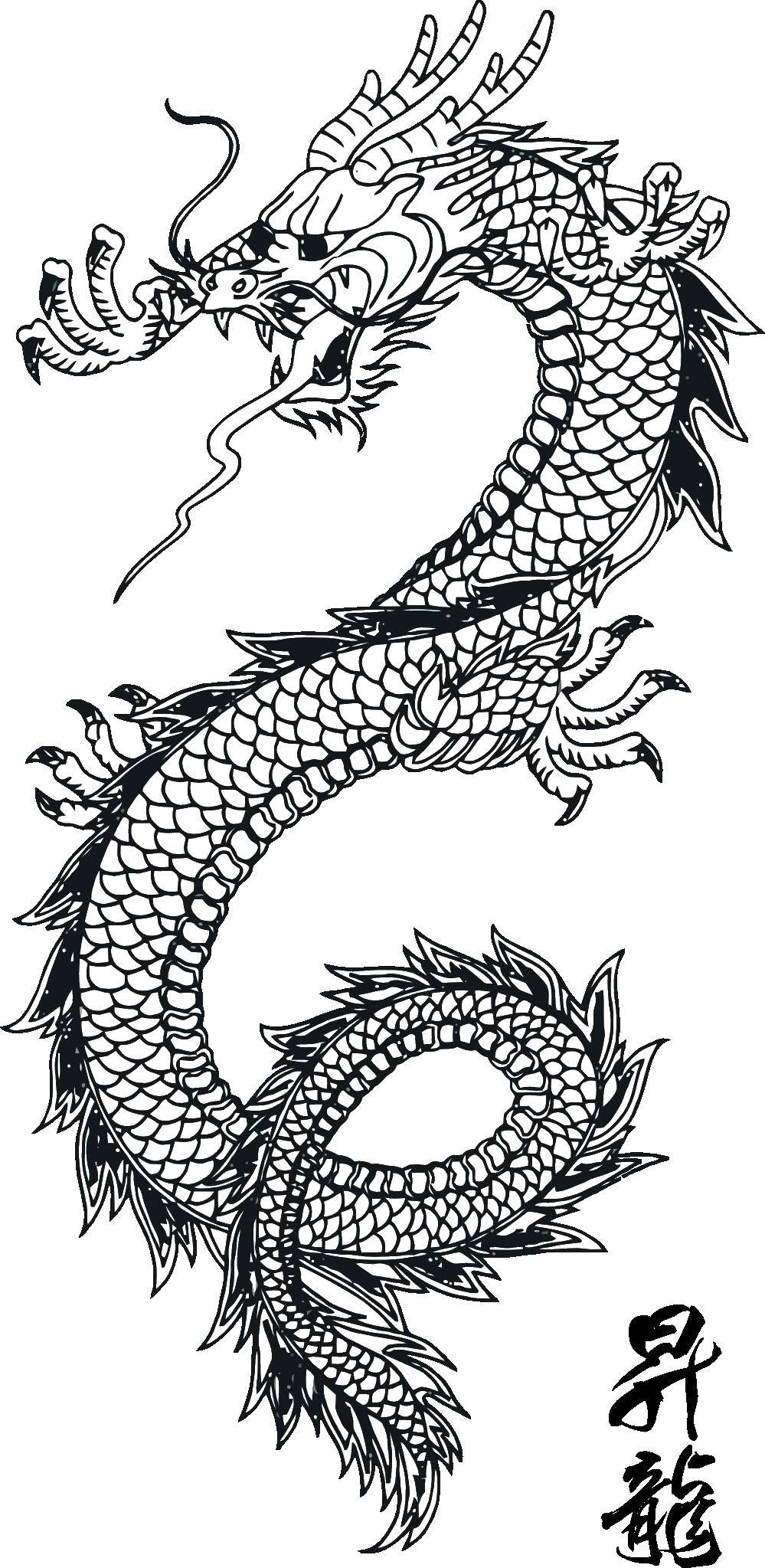 Название: Раскраска Свирепый дракон. Категория: Драконы. Теги: дракон, Китай.