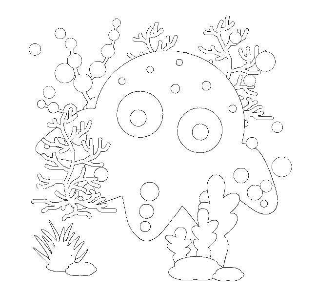 Название: Раскраска Осьминожка среди водорослей. Категория: морское. Теги: Подводный мир, осьминог, водоросли.
