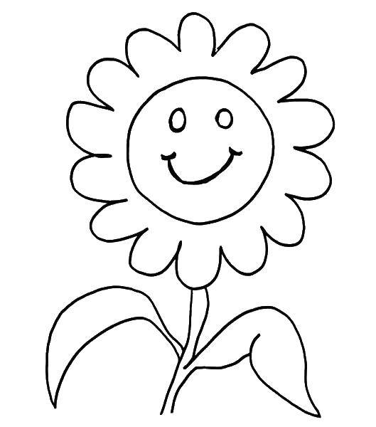 Coloring Sunflower smiles. Category Face. Tags:  sunflower, smile.