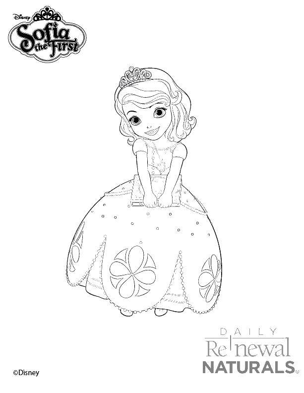 Название: Раскраска Принцесса софия. Категория: Персонаж из мультфильма. Теги: прическа, принцесса.